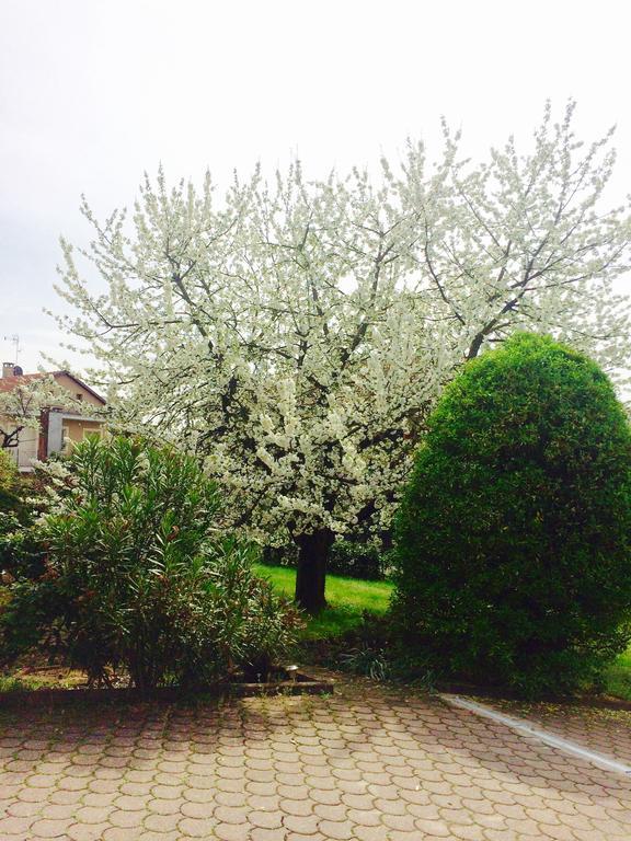 Apartamento I Ciliegi Moncalieri Exterior foto